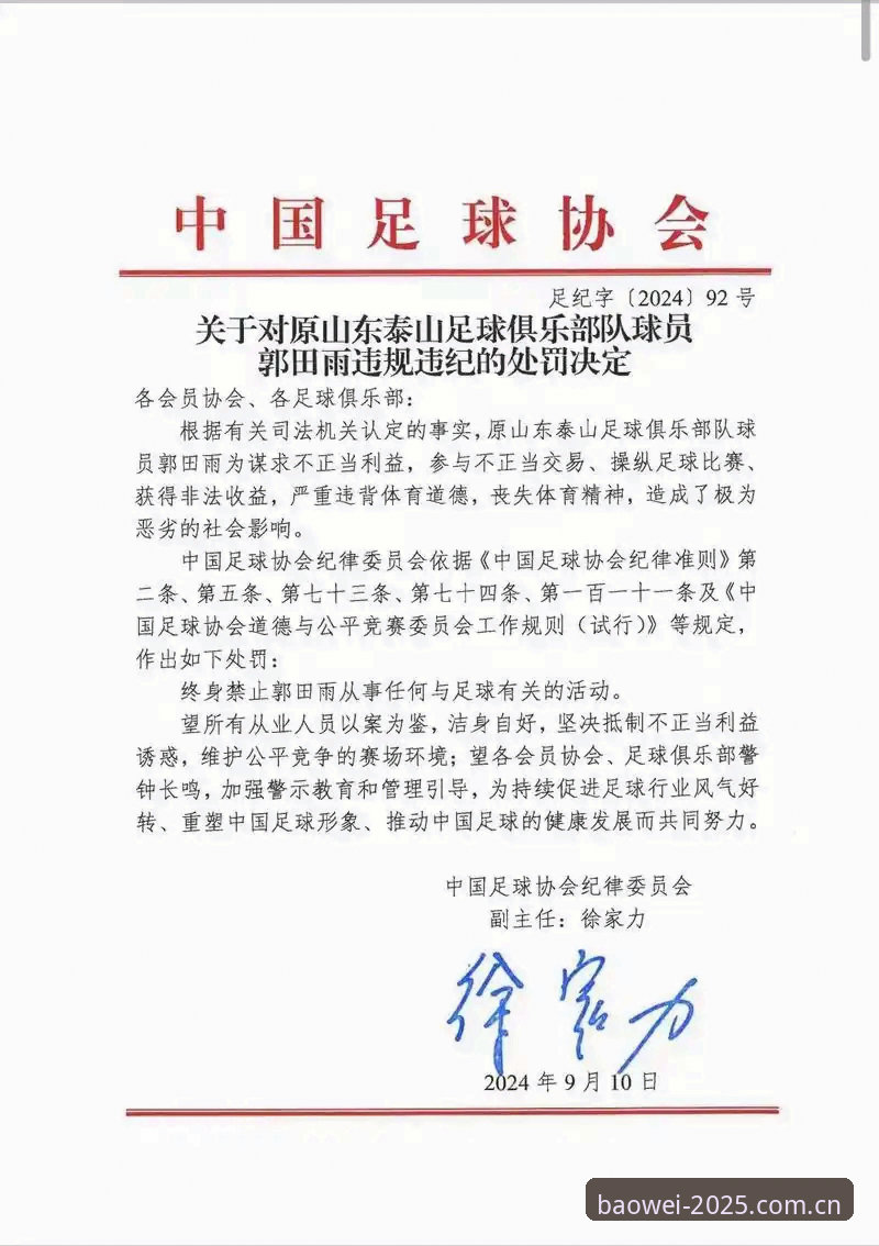 中国足协第三批禁足名单深度解析：体育公平竞赛的完整使用指南